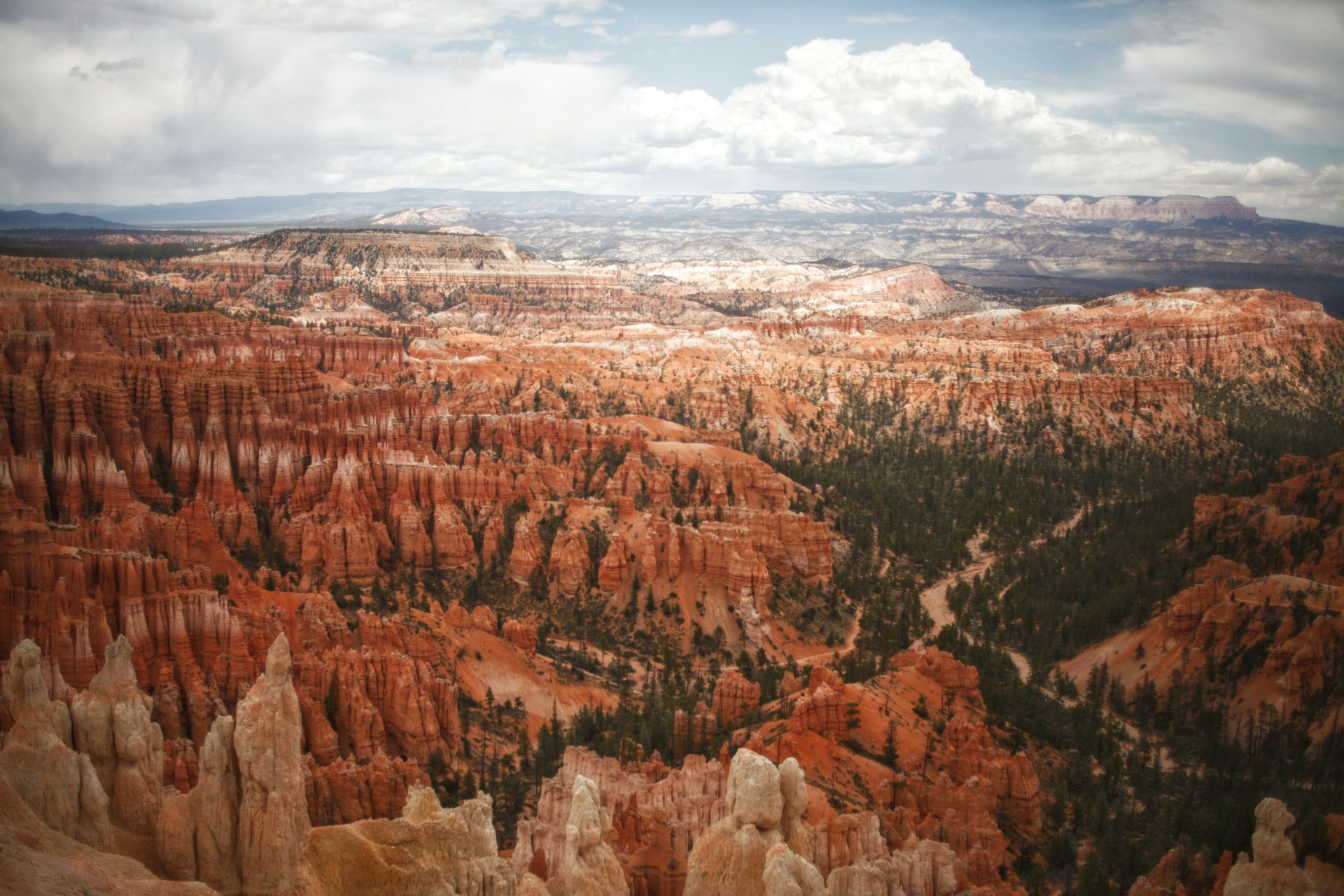 Road trips in Utah at Bryce Canyon Scenic Drive
