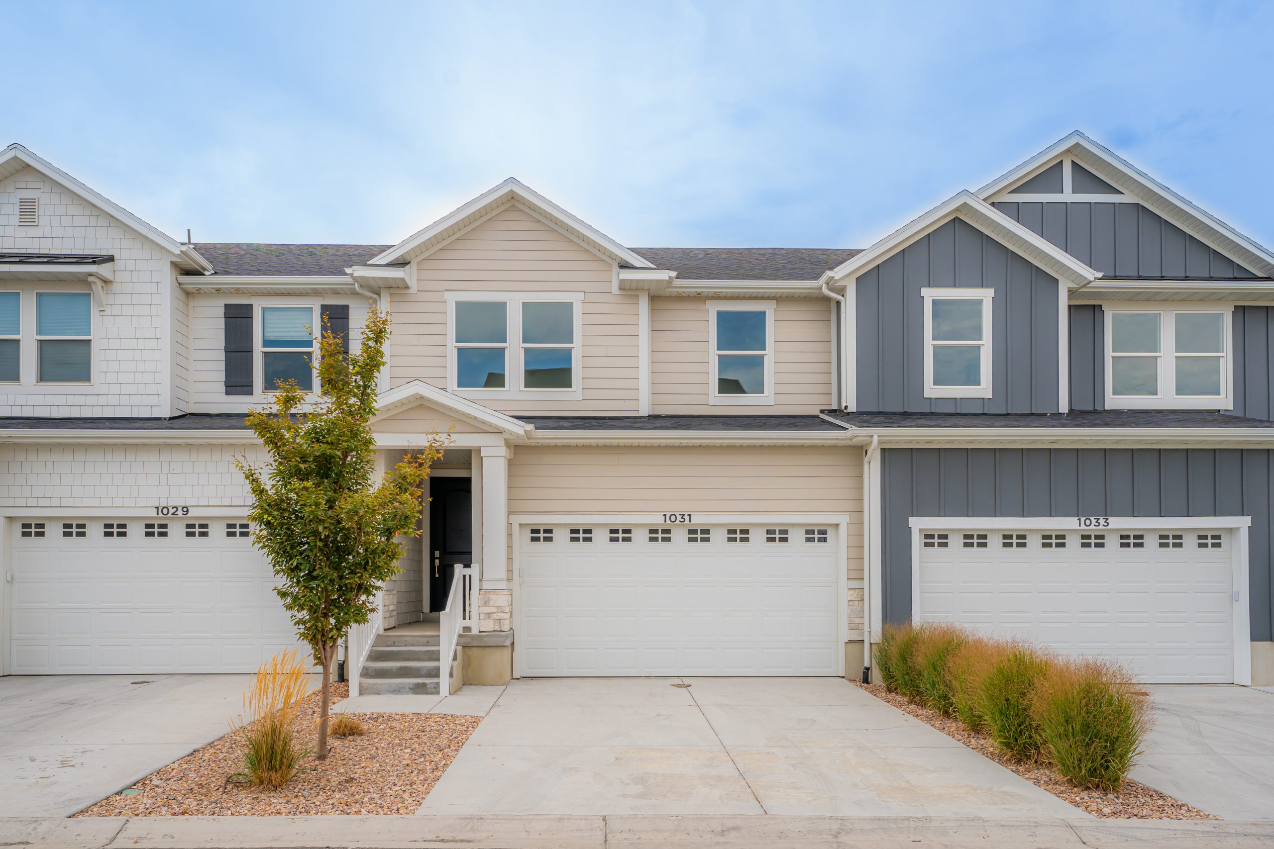Wildflower 2.0 Townhomes