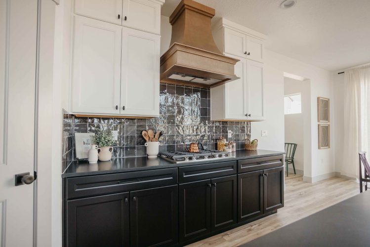 Mountain Ridge Natalie Model Gallery (11)