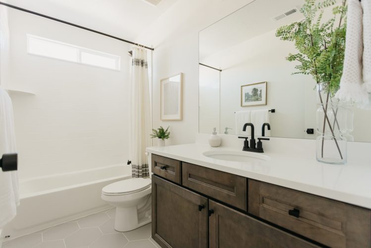 EdgeHomes: Willow Point Models